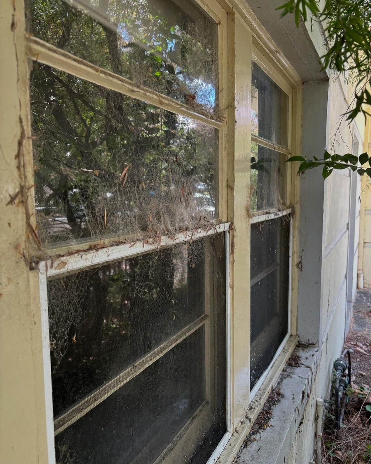 A sash window before cleaning: spider webs strung across the frame, leaf debris banked on the sill, and a heavy film dulling the glass.